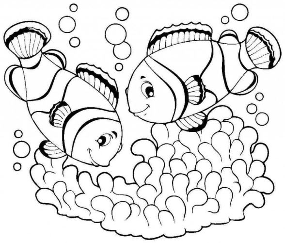 Mẫu tranh tô màu dành cho bé từ 2 đến 5 tuổi hình 2 chú cá