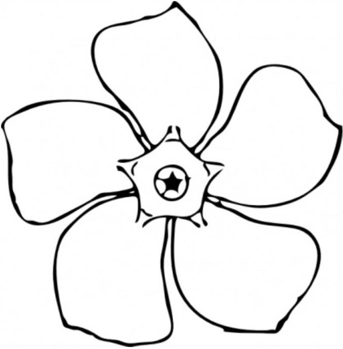 Mẫu tranh tô màu bông hoa đơn giản dành cho bé 2 tuổi
