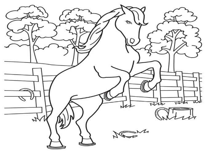 Mẫu tranh tô màu hình chú ngựa cho bé