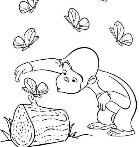 Mẫu tranh tô màu cho bé hình chú khỉ và bướm