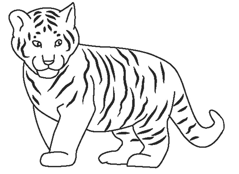 Tranh tô màu động vật – hình con hổ