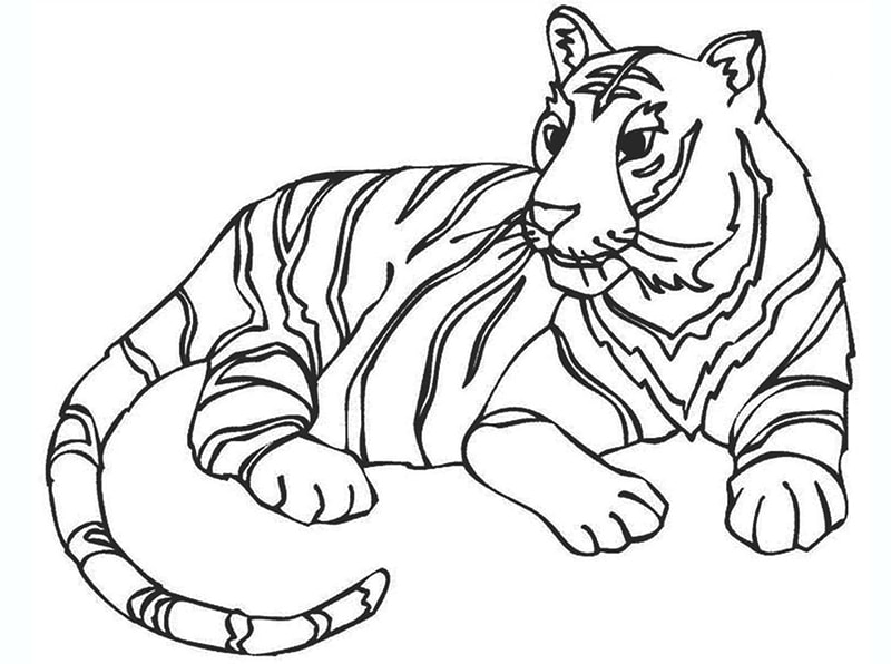 Tranh tô màu động vật – hình con hổ