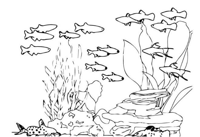 Tranh tô màu phong cảnh quê hương hình đàn cá đơn giản